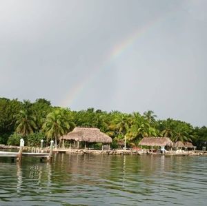 Meet your Posher, Louis